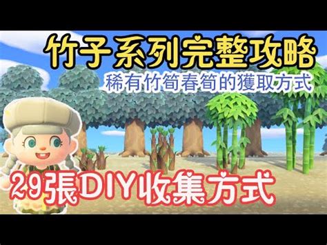 動森種竹子距離|《動物森友會》竹子種植注意事項 